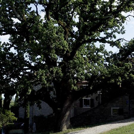 Апартаменти L'Abbraccio Della Quercia Momjan Екстер'єр фото